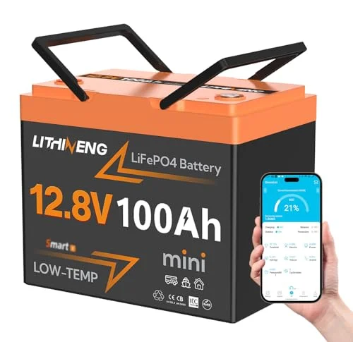 10 Best 12V 100Ah Lithium Battery: Comprehensive Insights for Buyers 2026