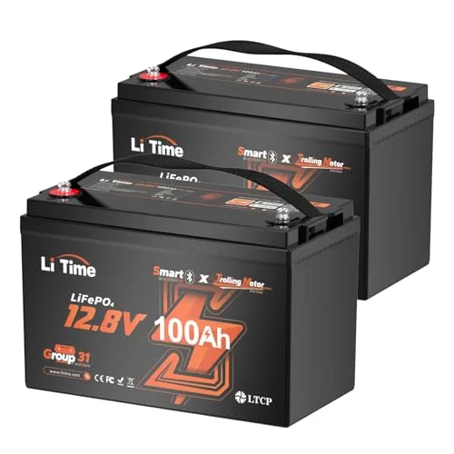 10 Best 12V 100Ah Lithium Battery For Reliable Power In Every Situation 2026