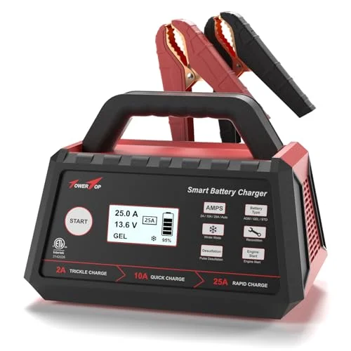 10 Best Auto Battery Chargers Reviews: Comprehensive Insights for Smart Choices 2026
