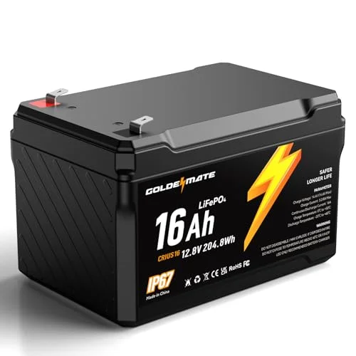 best 12 volt batteries