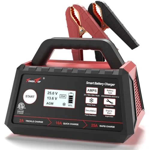best battery charger deep cycle