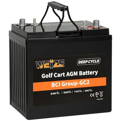 best battery for cart
