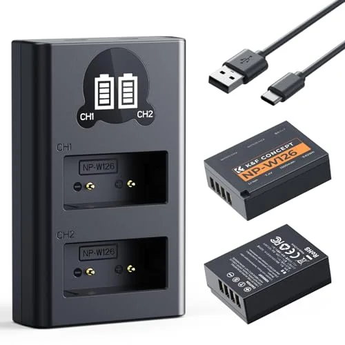best battery for fujifilm x100vi