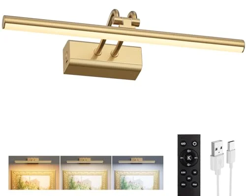 best battery operated picture lights