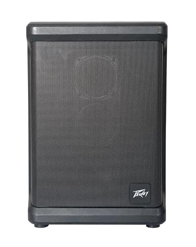 best battery powered amp for busking