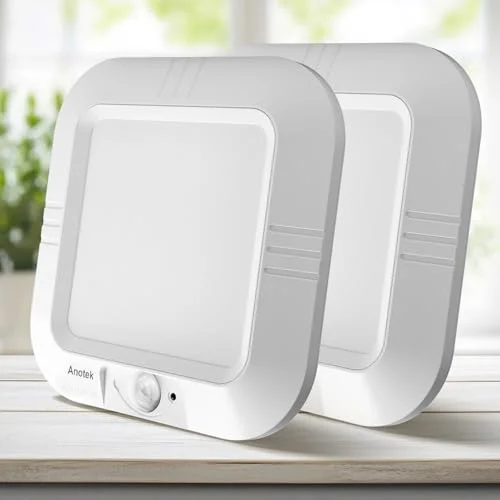 best battery powered ceiling light