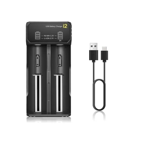 best charger for lithium ion batteries