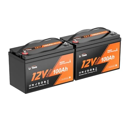 best cold weather battery
