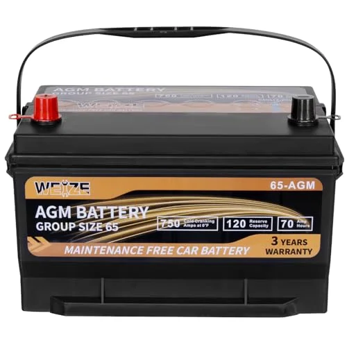 best group 65 battery