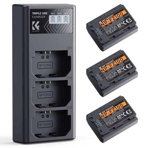 best np fz100 battery