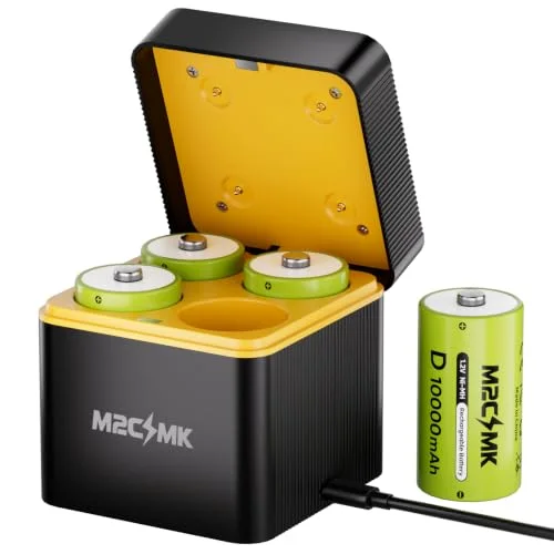 best rechargeable d batteries with charger
