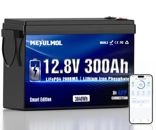 best lithium battery for an rv