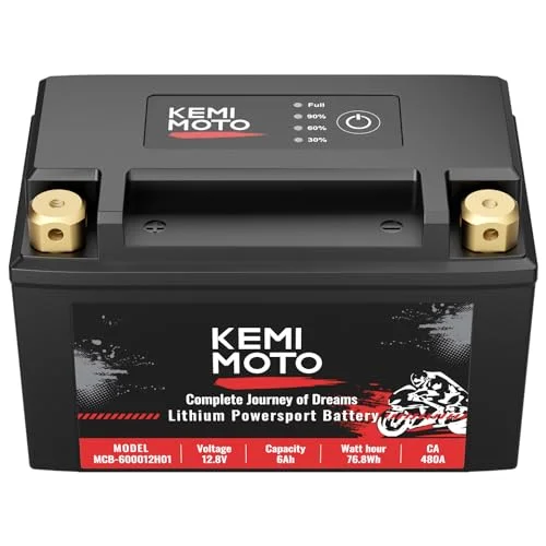 best lithium battery for r1
