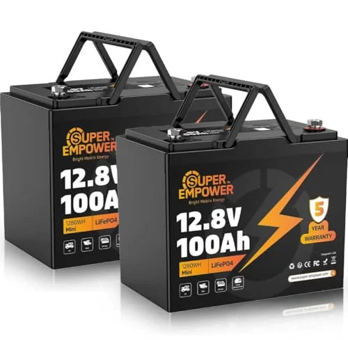 best lithium battery for rv group 24
